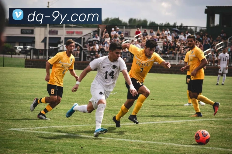 数据防护可视化